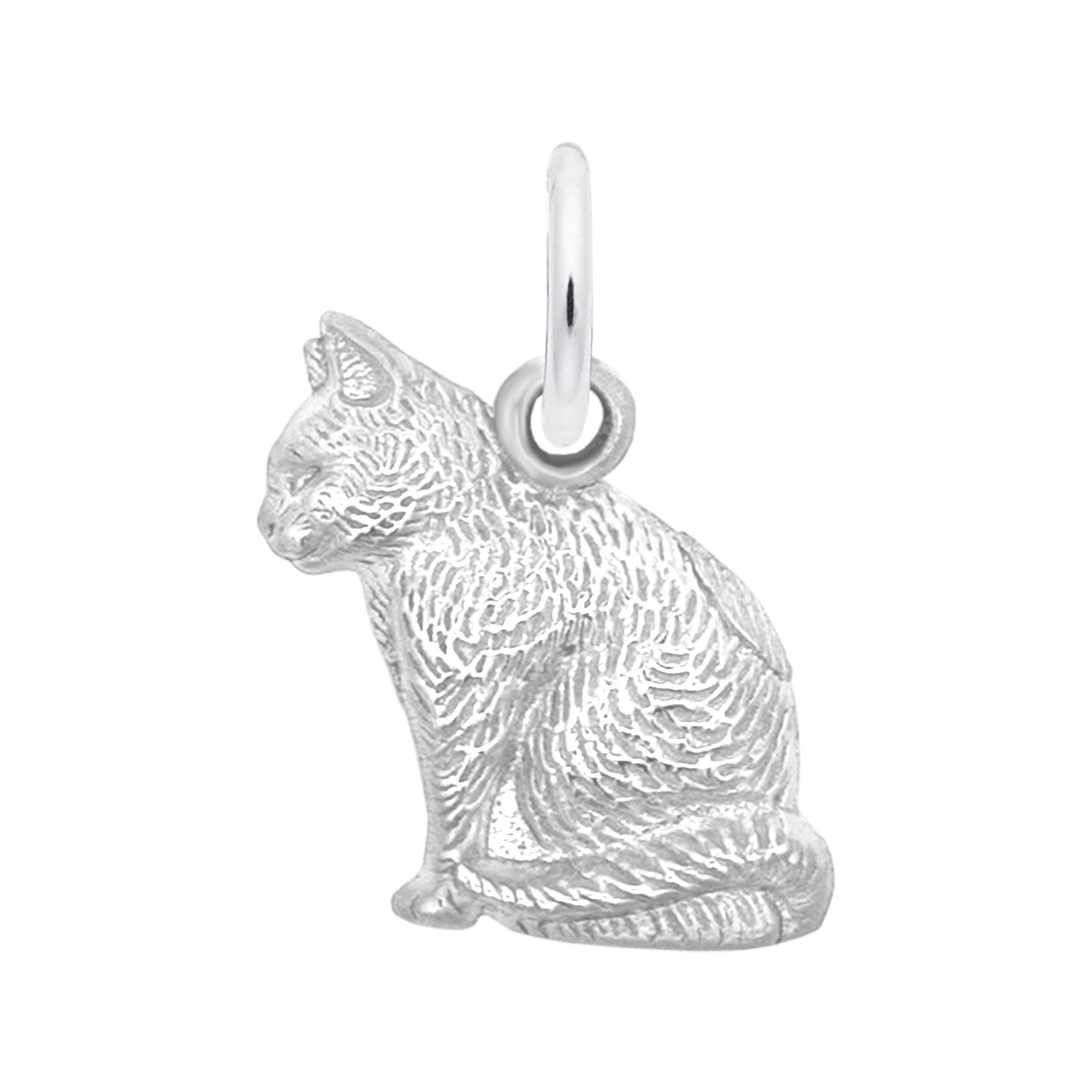Rembrandt Charms - Large Cat Charm - 1159 Rembrandt Charms Charm Birmingham Jewelry