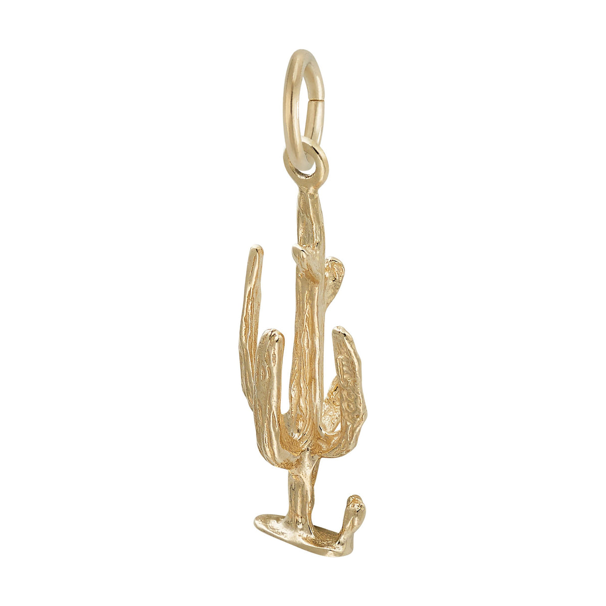 Rembrandt Charms - Cactus Charm - 1576