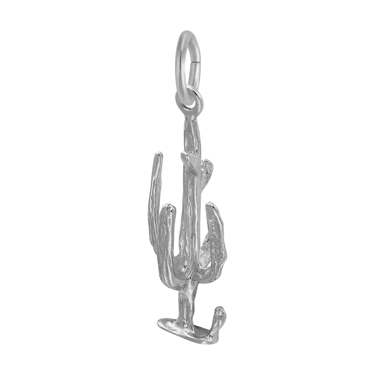 Rembrandt Charms - Cactus Charm - 1576