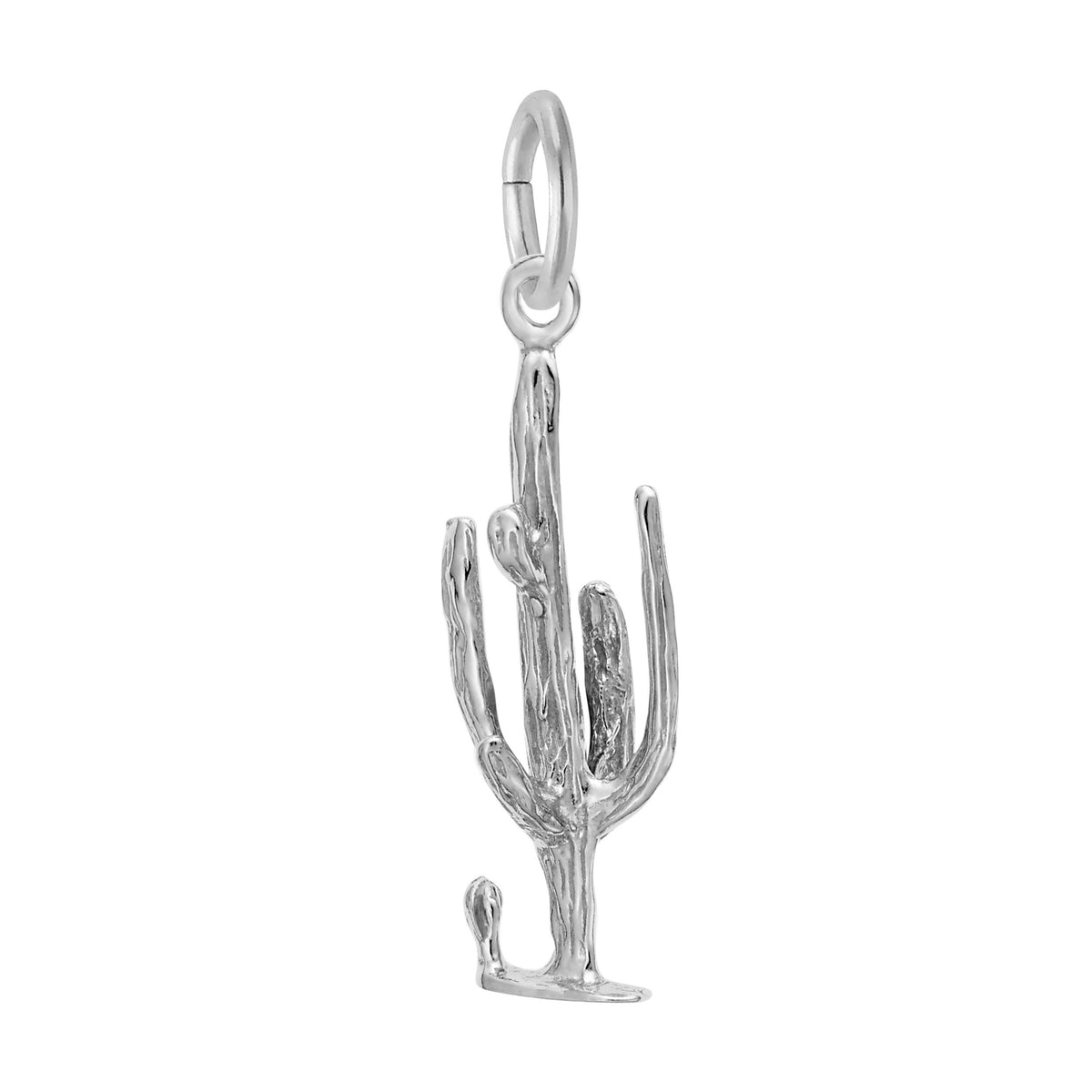 Rembrandt Charms - Cactus Charm - 1576