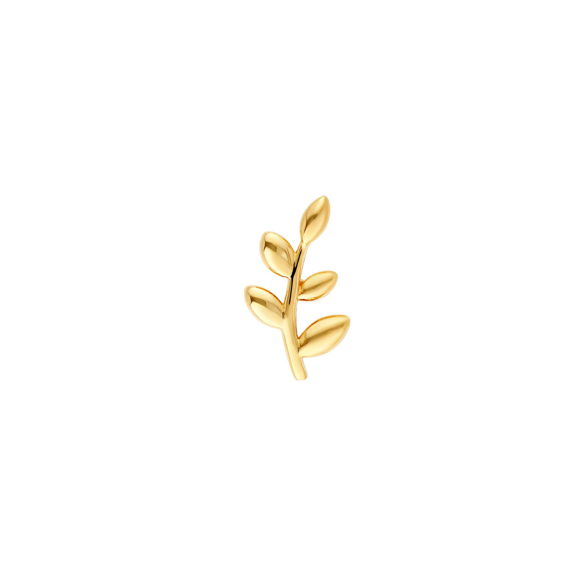 14K Yellow Gold Leaf Branch Stud Earrings