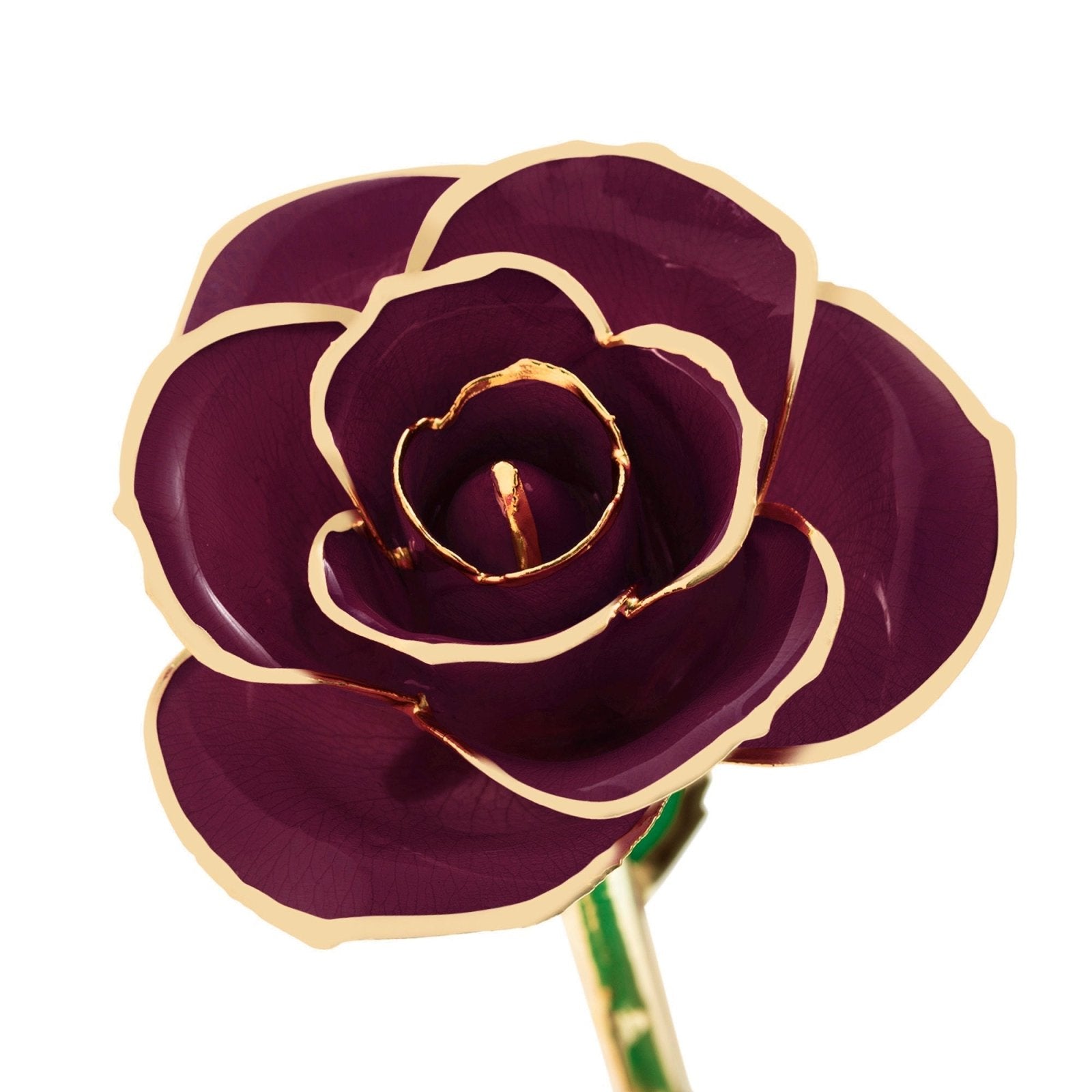 Birmingham Jewelry - Burgundy Wine - 24K Dipped Rose - Birmingham Jewelry