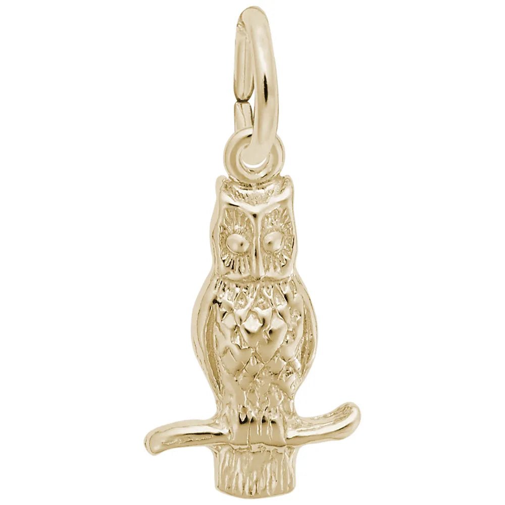 Rembrandt Charms - Rembrandt Charms - Long Eared Owl Charm - 0360 - Birmingham Jewelry