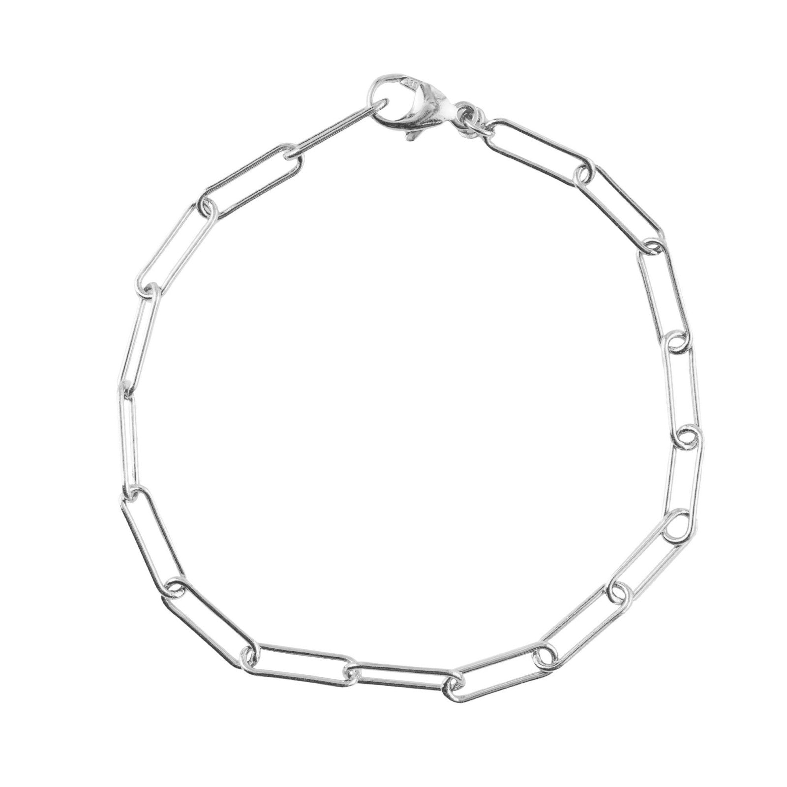 Rembrandt Charms - Paperclip Bracelet – Medium - 20-0310 Rembrandt Charms Bracelet Birmingham Jewelry