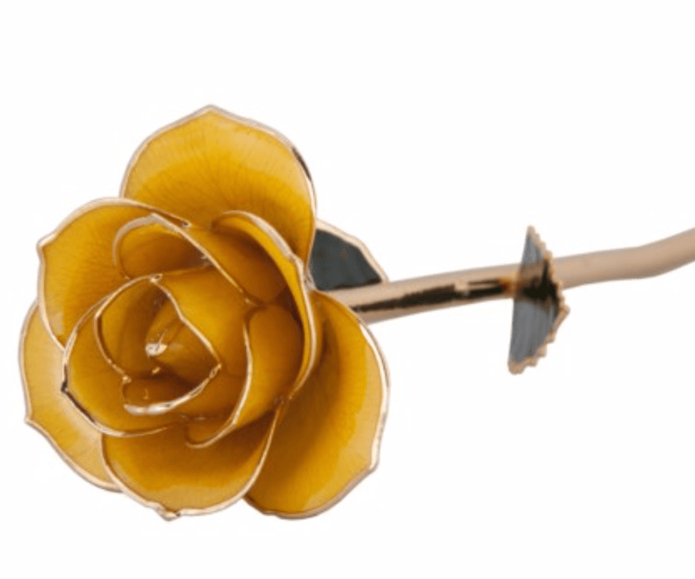 Sunshine Yellow - 24K Dipped Rose Birmingham Jewelry 24K Gold Rose Birmingham Jewelry