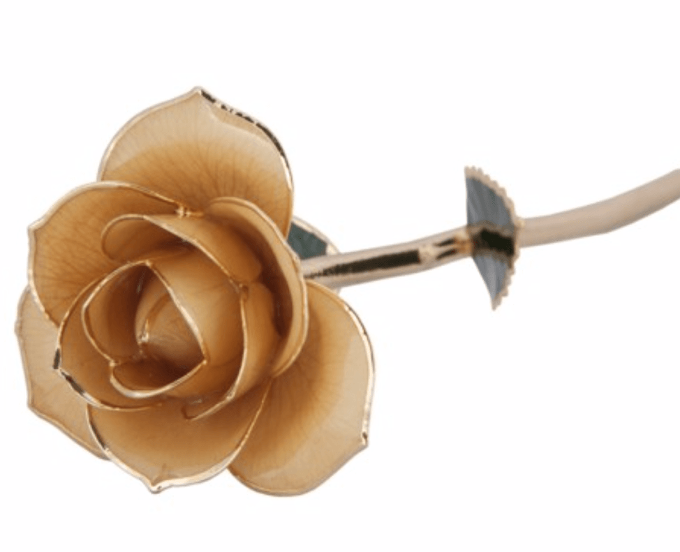 Sweet Cream - 24K Dipped Rose Birmingham Jewelry 24K Gold Rose Birmingham Jewelry