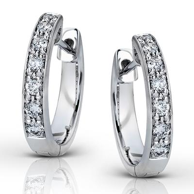 ZEGHANI - ZE144 Paparazzi ZEGHANI Hoop Earrings Birmingham Jewelry