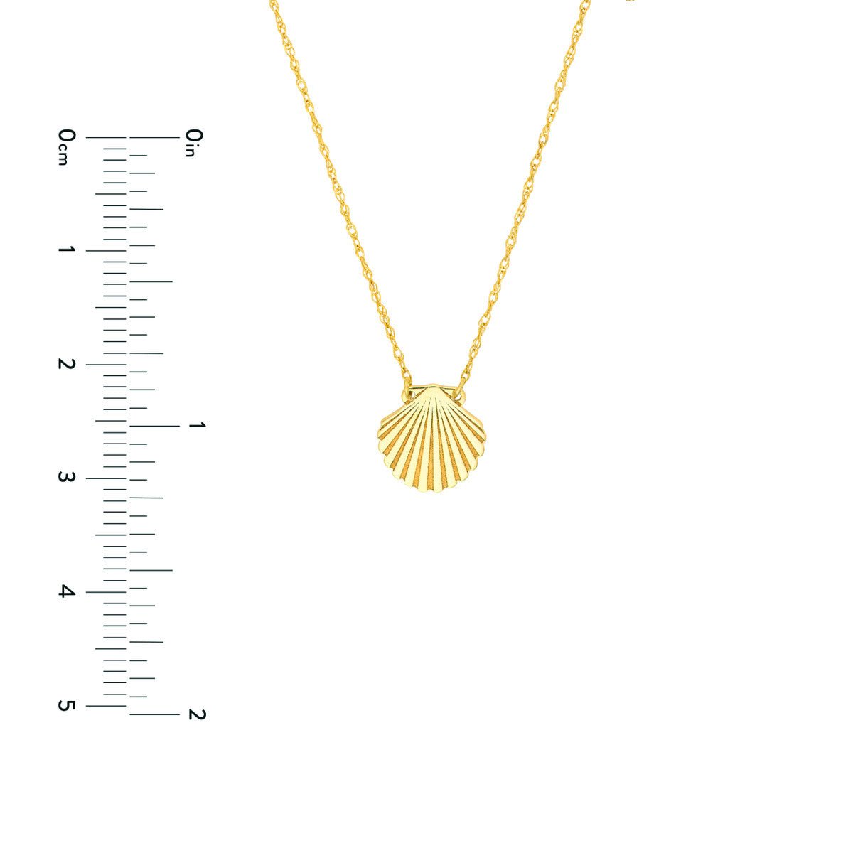 Birmingham Jewelry - 14K Yellow Gold So You Seashell Necklace - Birmingham Jewelry