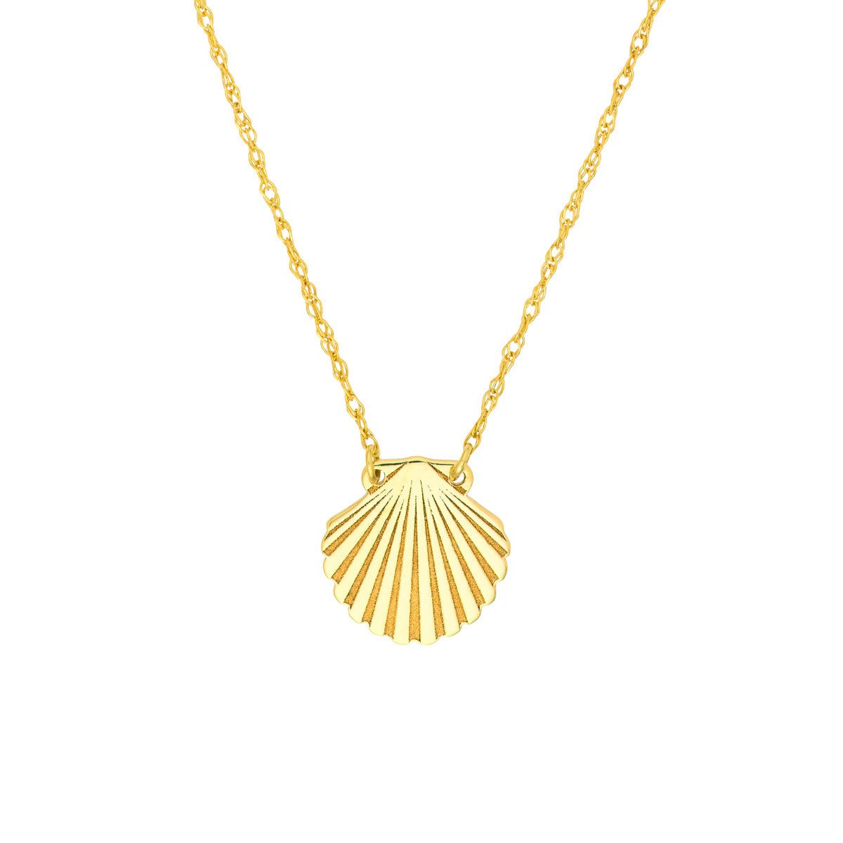 Birmingham Jewelry - 14K Yellow Gold So You Seashell Necklace - Birmingham Jewelry