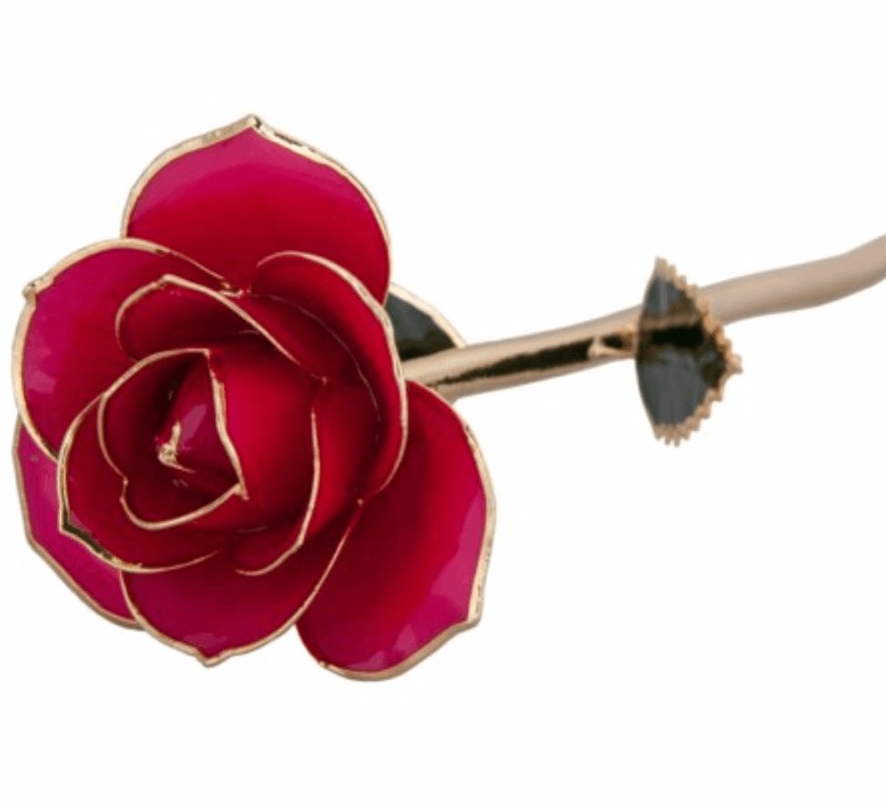 Luscious Pink - 24K Dipped Rose Birmingham Jewelry 24K Gold Rose Birmingham Jewelry