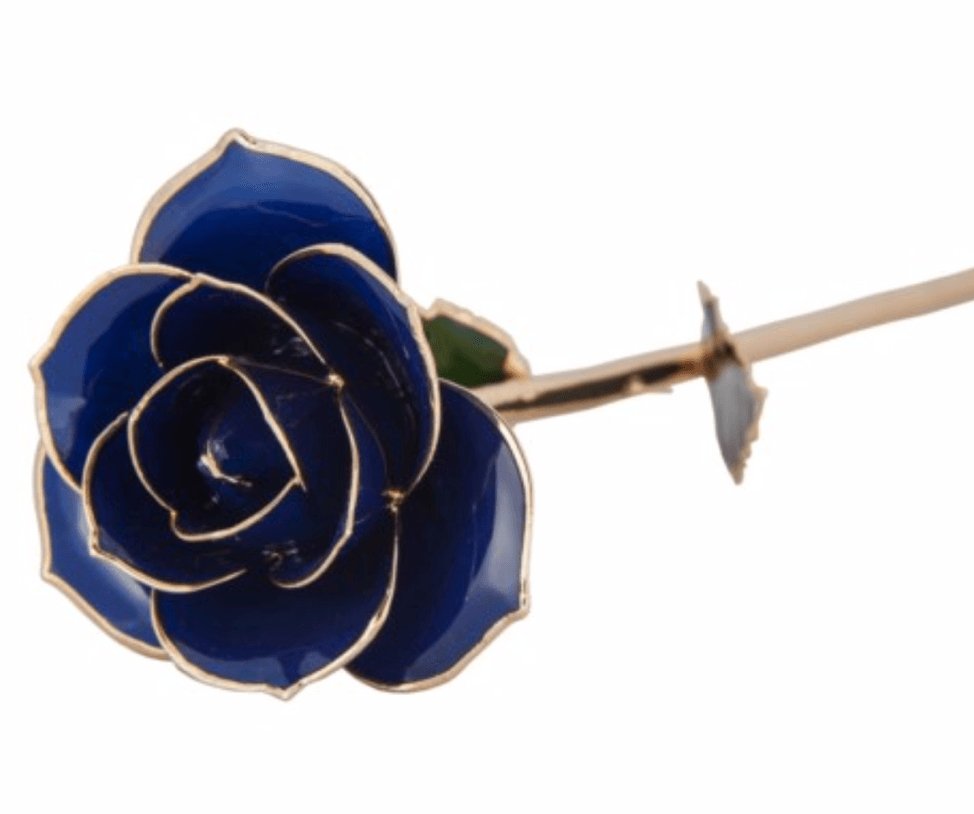 Midnight Blue - 24K Dipped Rose Birmingham Jewelry 24K Gold Rose Birmingham Jewelry