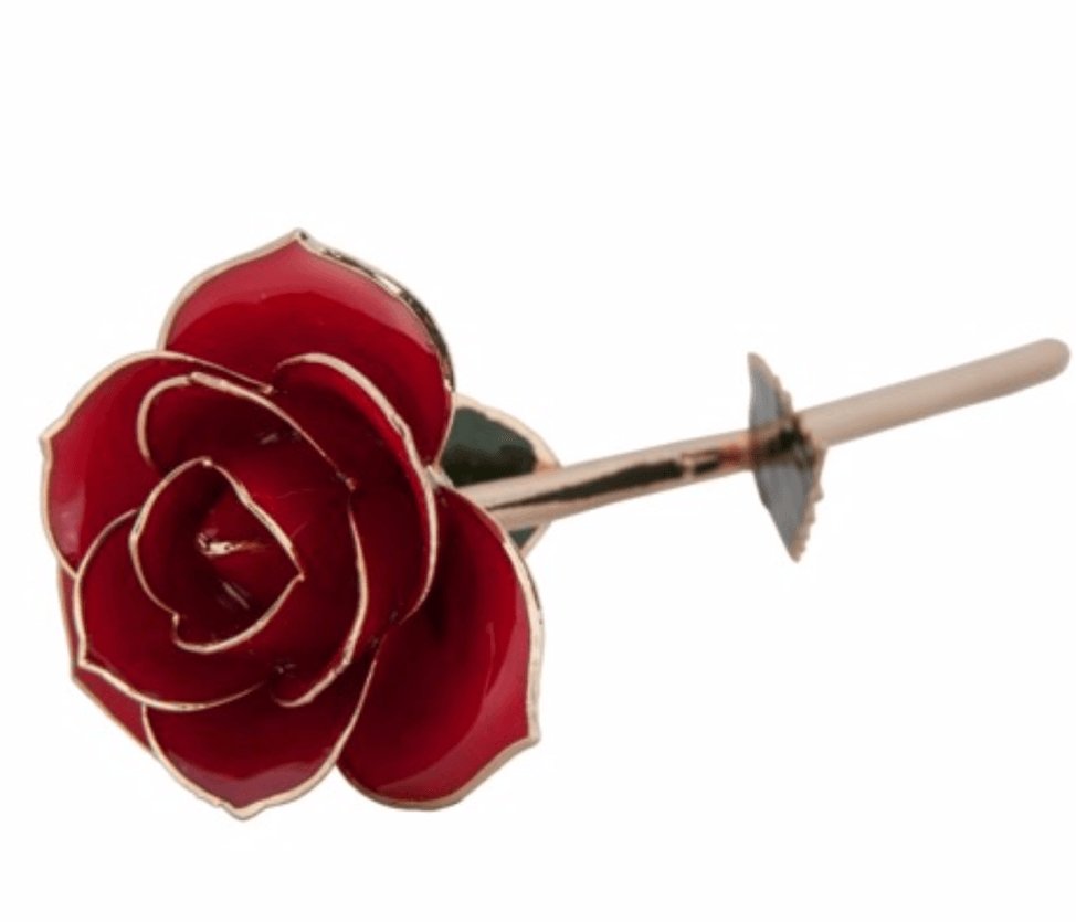 Ravishing Red - 24K Dipped Rose Birmingham Jewelry 24K Gold Rose Birmingham Jewelry