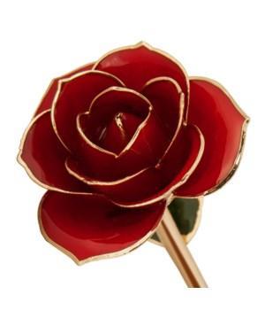 Ravishing Red - 24K Dipped Rose Birmingham Jewelry 24K Gold Rose Birmingham Jewelry