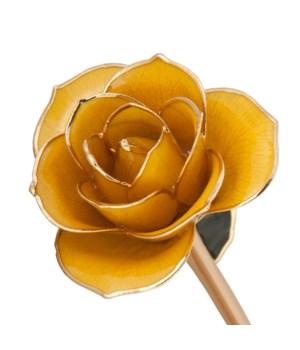 Sunshine Yellow - 24K Dipped Rose Birmingham Jewelry 24K Gold Rose Birmingham Jewelry