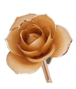 Sweet Cream - 24K Dipped Rose Birmingham Jewelry 24K Gold Rose Birmingham Jewelry