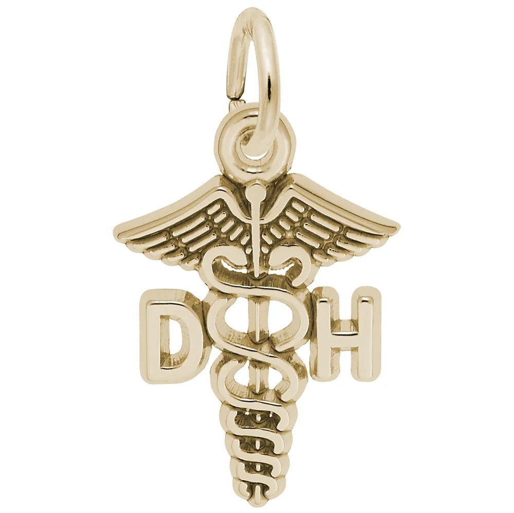 Rembrandt Charms - Dental Hygienist Caduceus Charm - 3672 Rembrandt Charms Charm Birmingham Jewelry