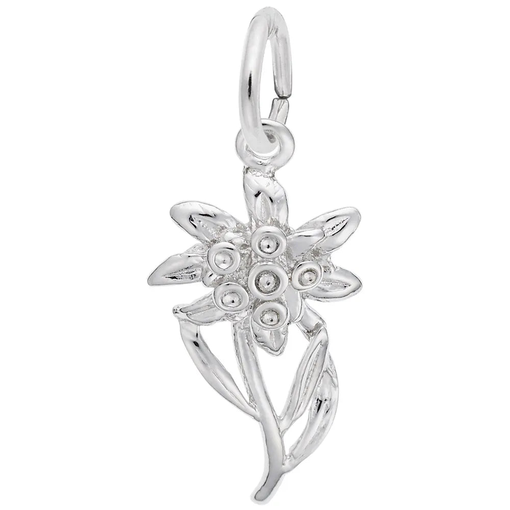 Rembrandt Charms - Edelweiss Flower Charm - 2339 Rembrandt Charms Charm Birmingham Jewelry