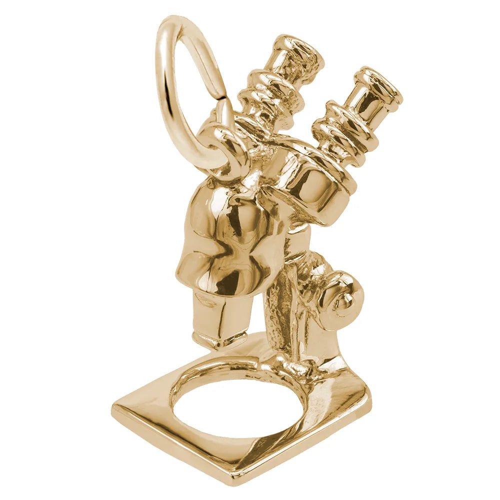 Rembrandt Charms - New Microscope Charm - 1103 Rembrandt Charms Charm Birmingham Jewelry