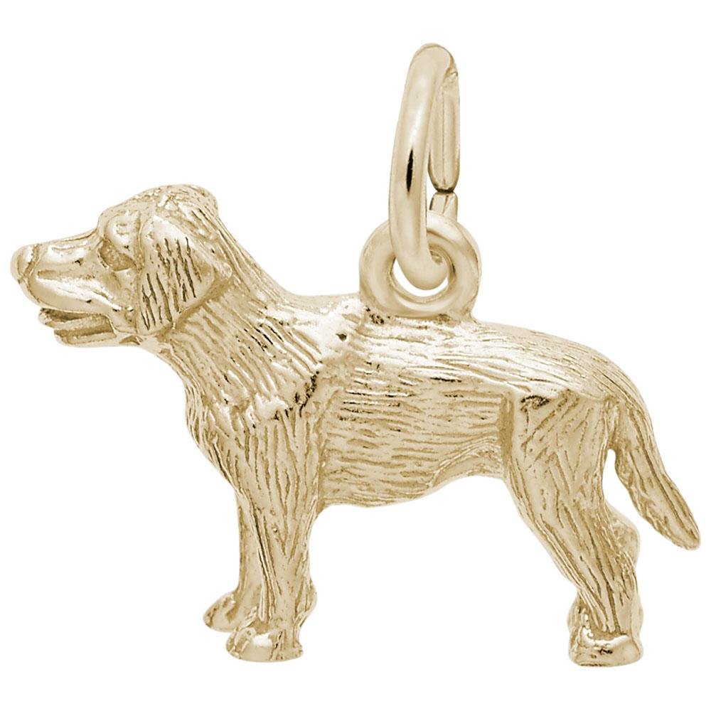 Rembrandt Charms - Small Labrador Retriever Dog Charm - 2404 Rembrandt Charms Charm Birmingham Jewelry