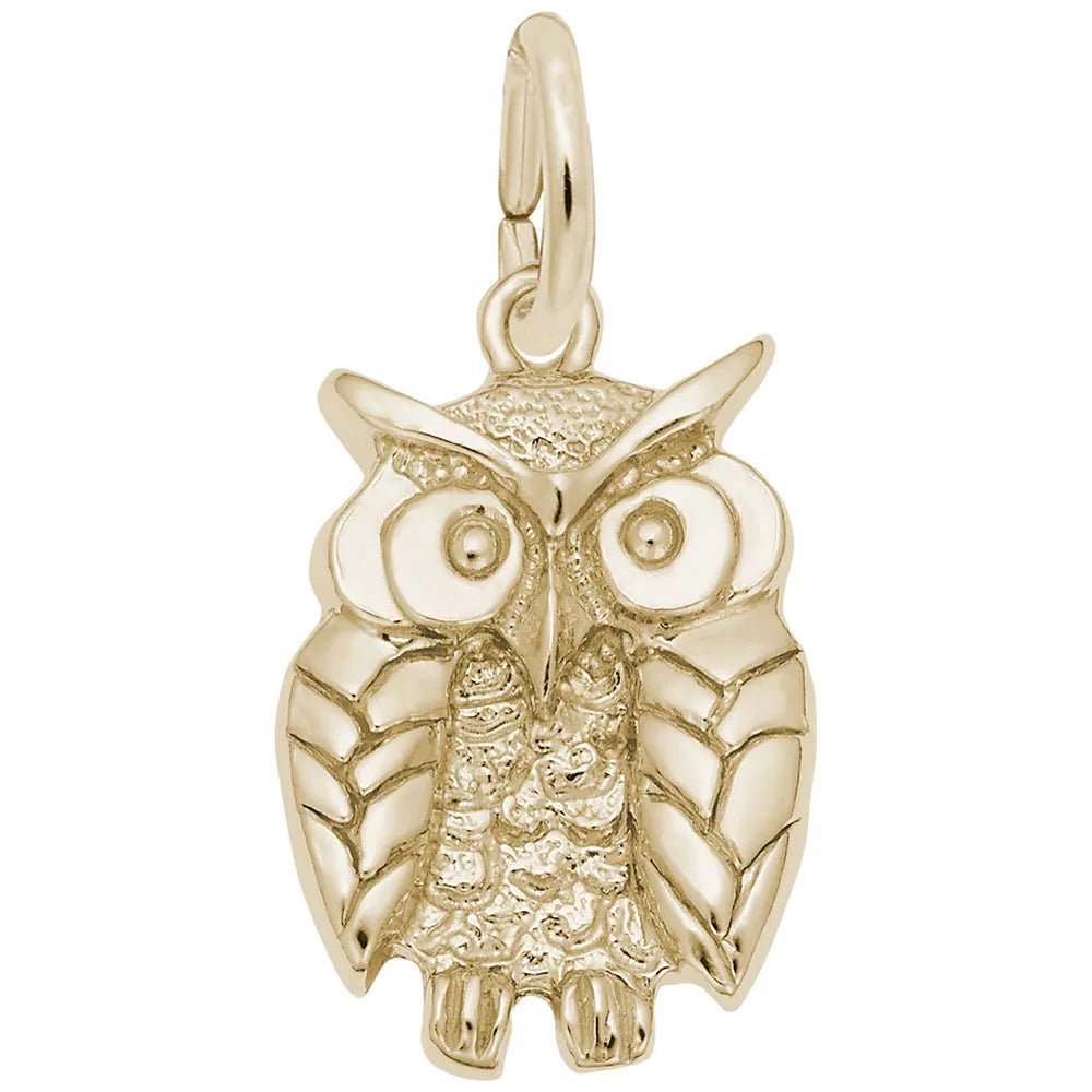 Rembrandt Charms - Wise Owl Charm - 1673 Rembrandt Charms Charm Birmingham Jewelry