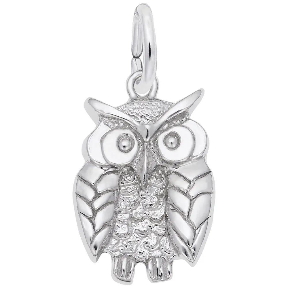 Rembrandt Charms - Wise Owl Charm - 1673 Rembrandt Charms Charm Birmingham Jewelry