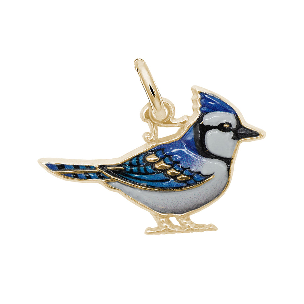 Rembrandt Charms - Painted Blue Jay Charm - 1119-001 Rembrandt Charms Charm Birmingham Jewelry 