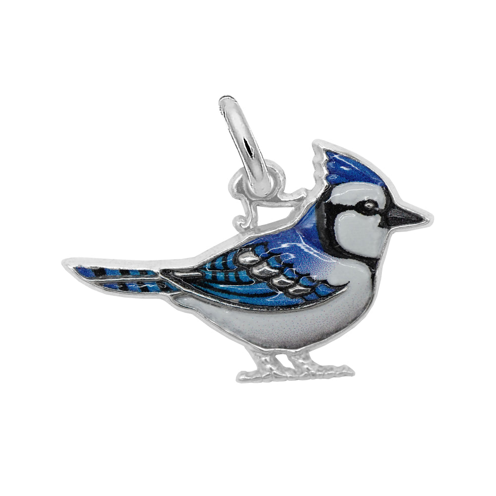 Rembrandt Charms - Painted Blue Jay Charm - 1119-001 Rembrandt Charms Charm Birmingham Jewelry 