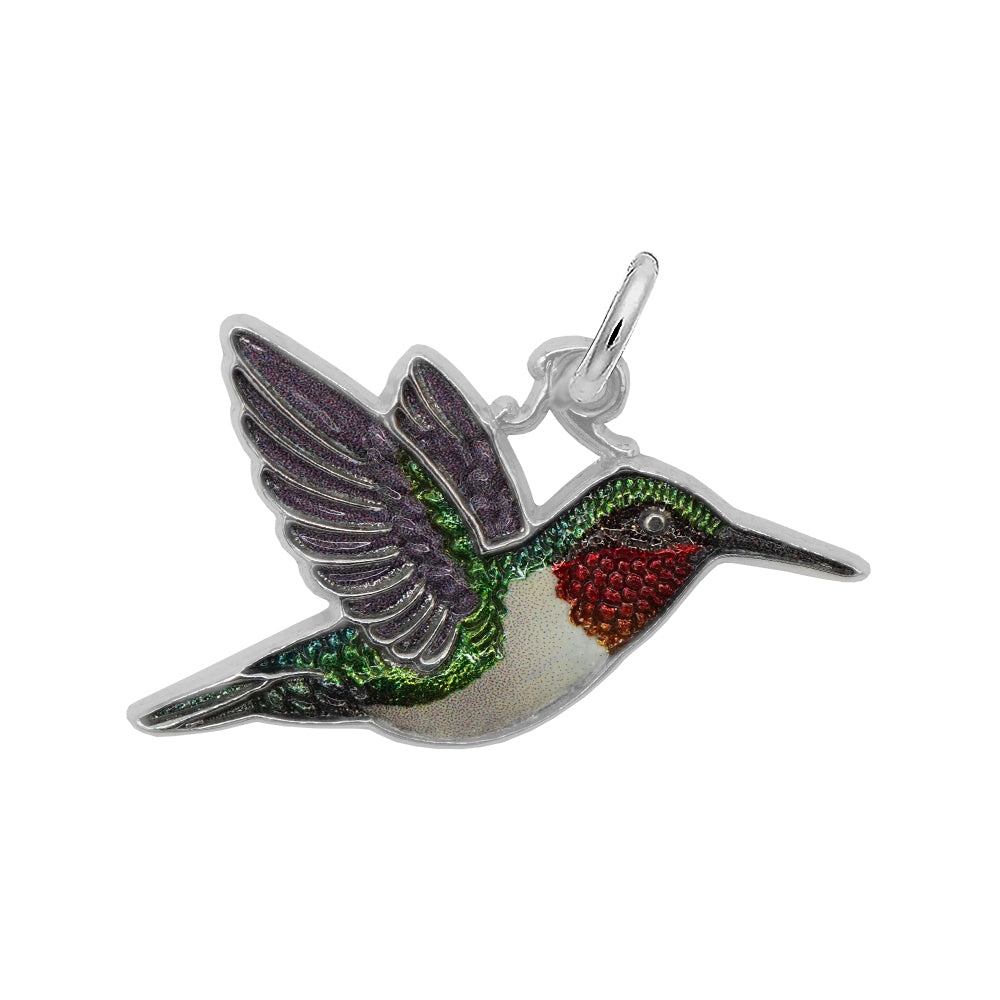 Rembrandt Charms - Painted Hummingbird Charm - 1144-001