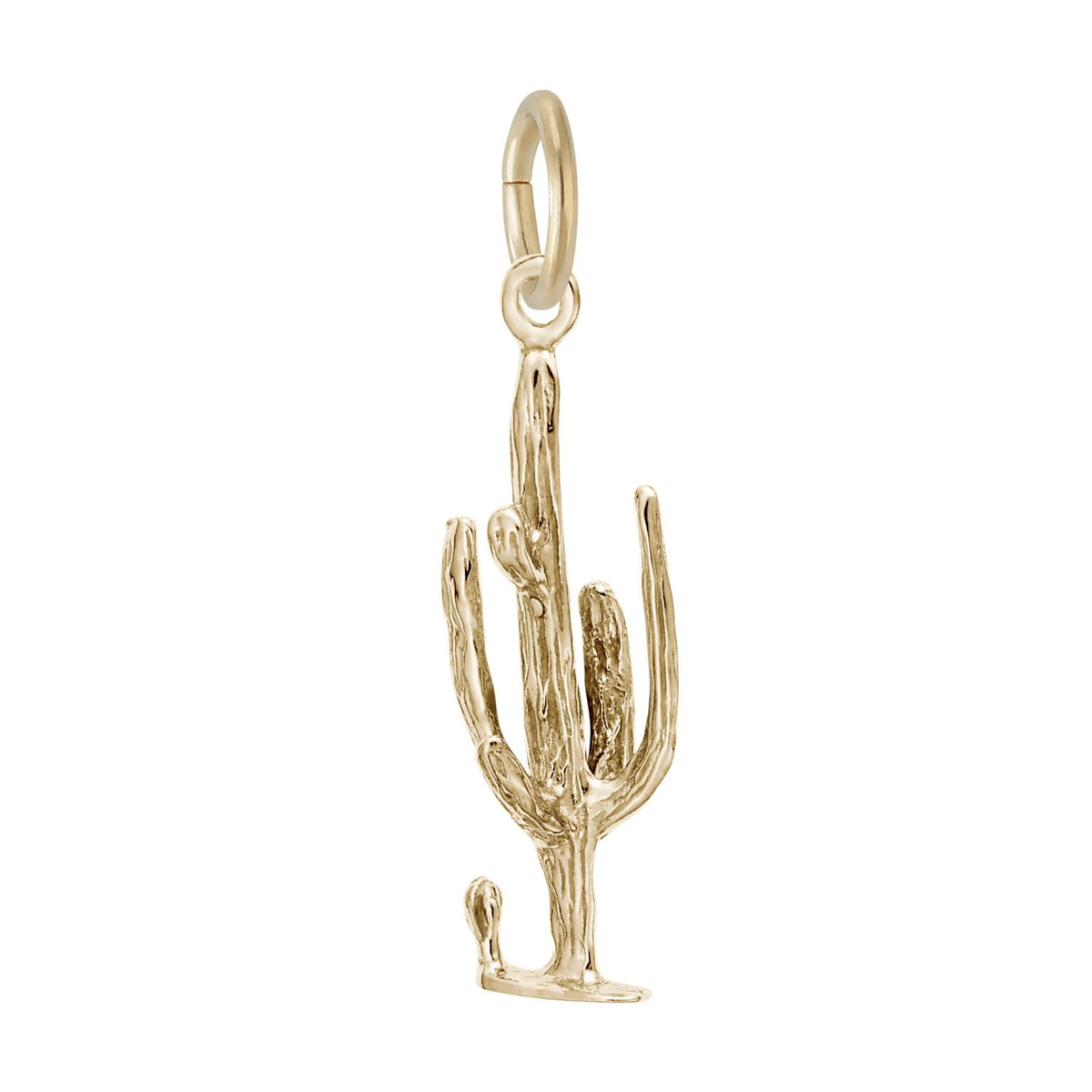 Rembrandt Charms - Cactus Charm - 1576