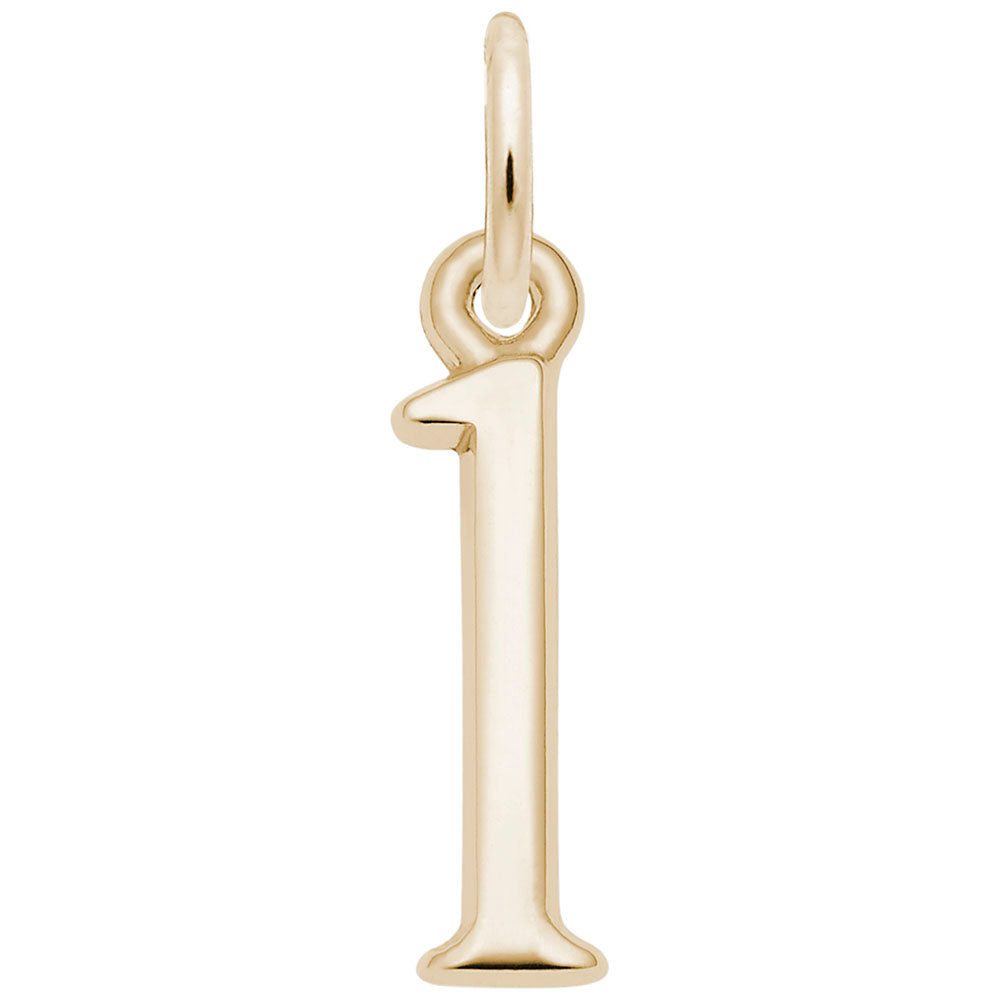 Rembrandt Charms - That’s My Number Series 1 Charm - 1761-001 Rembrandt Charms Charm Birmingham Jewelry 