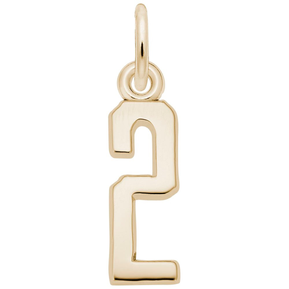Rembrandt Charms - That’s My Number Series 2 Charm - 1761-002 Rembrandt Charms Charm Birmingham Jewelry 