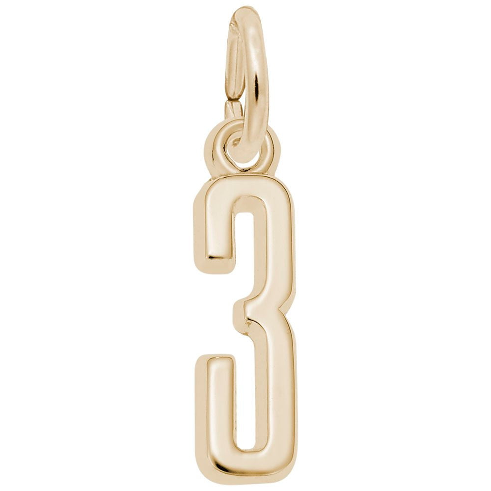Rembrandt Charms - That’s My Number Series 3 Charm - 1761-003 Rembrandt Charms Charm Birmingham Jewelry 