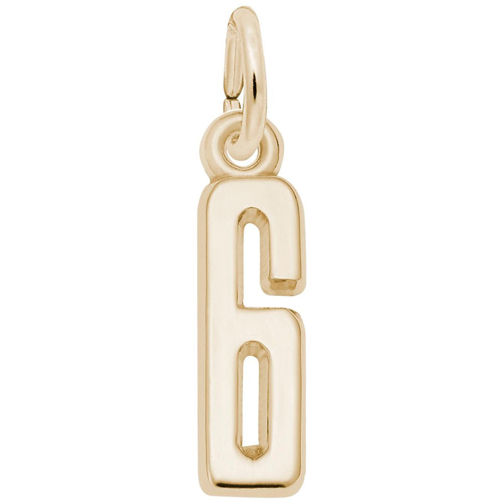 Rembrandt Charms - That’s My Number Series 6 Charm - 1761-006 Rembrandt Charms Charm Birmingham Jewelry 