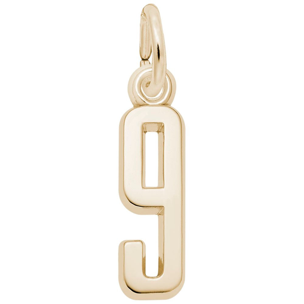 Rembrandt Charms - That’s My Number Series 9 Charm - 1761-009 Rembrandt Charms Charm Birmingham Jewelry 
