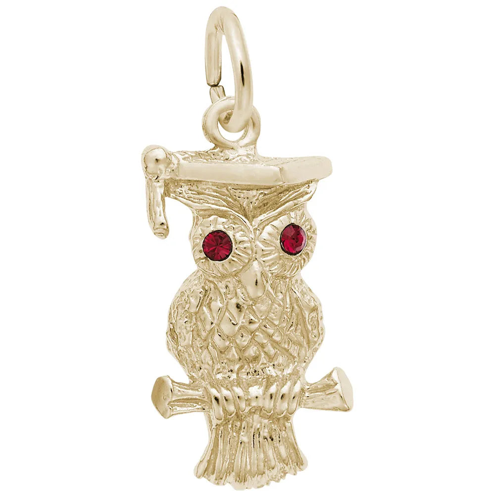Rembrandt Charms - Graduation Owl Charm - 2596