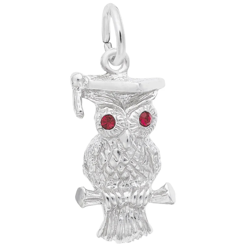 Rembrandt Charms - Graduation Owl Charm - 2596