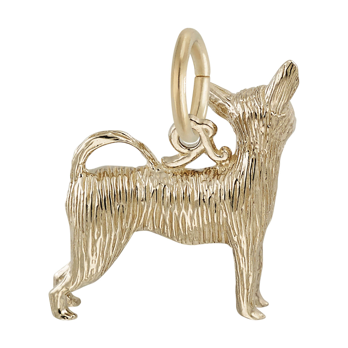 Rembrandt Charms - Chihuahua Dog Charm - 8227 Rembrandt Charms Charm Birmingham Jewelry 