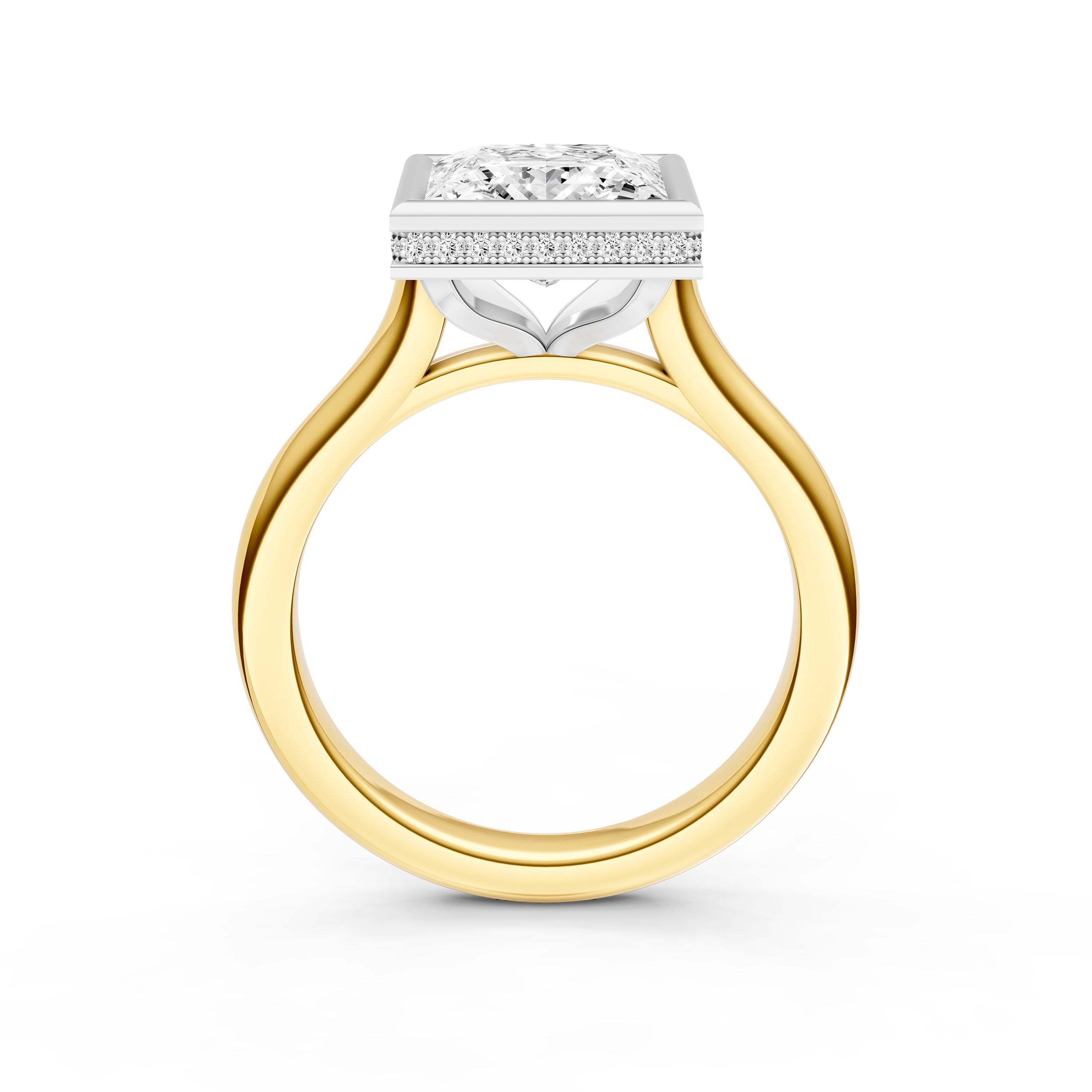 Bezel Hidden Halo Engagement Ring (Princess Cut) Birmingham Jewelry Engagement Ring Birmingham Jewelry 