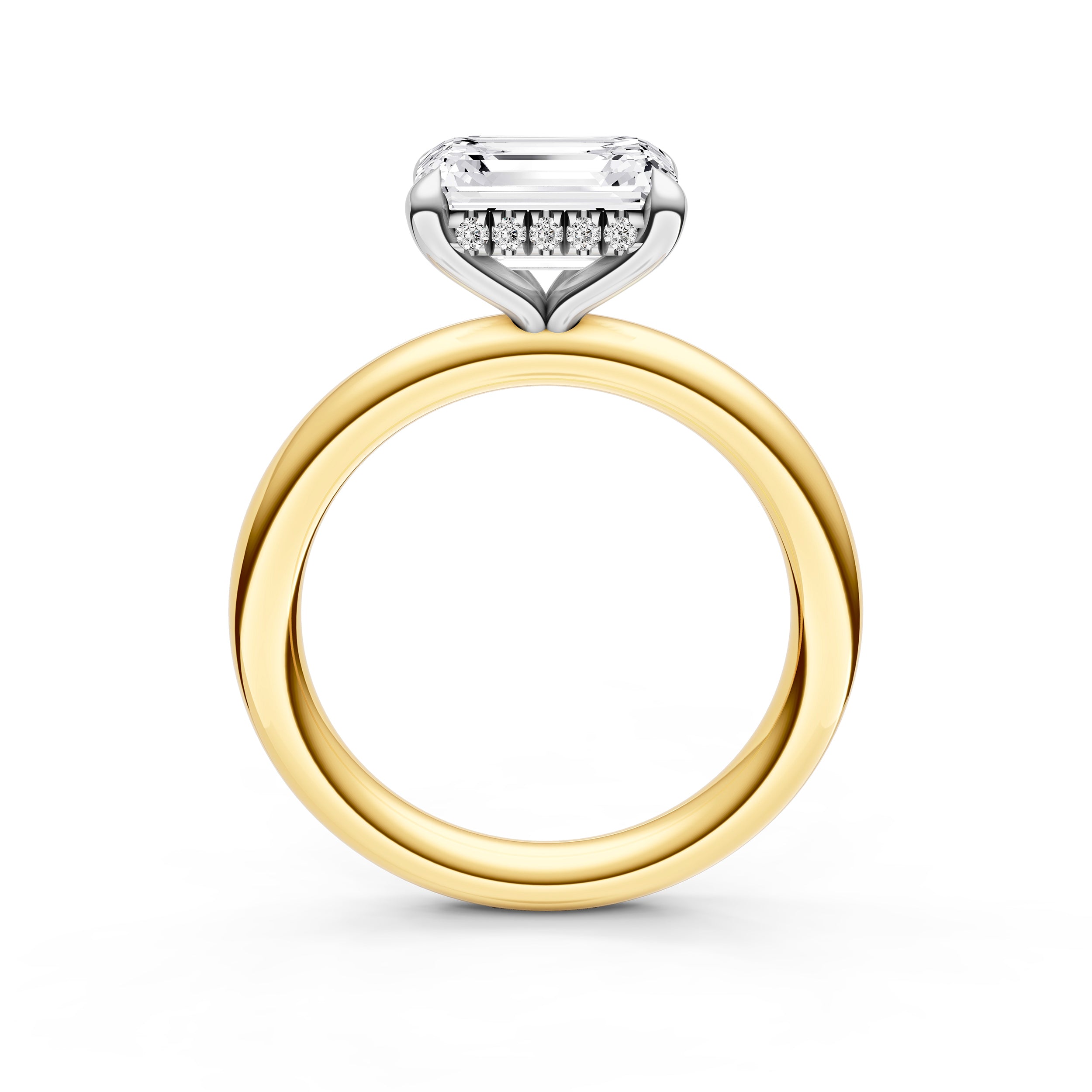 E2W Hidden Halo Engagement Ring (Emerald Cut) Birmingham Jewelry Engagement Ring Birmingham Jewelry 