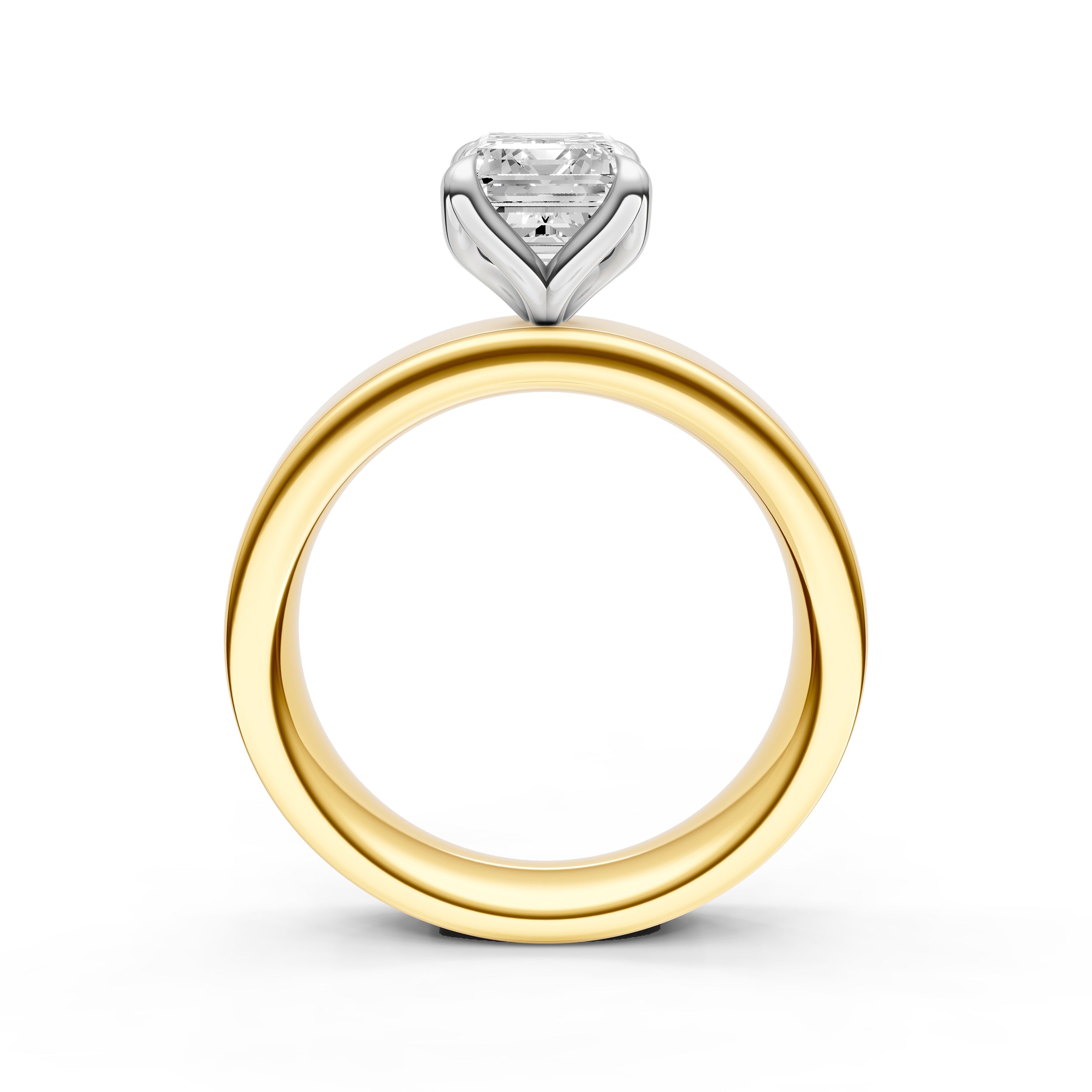 Petal Wide Engagement Ring (Emerald Cut) Birmingham Jewelry Engagement Ring Birmingham Jewelry 