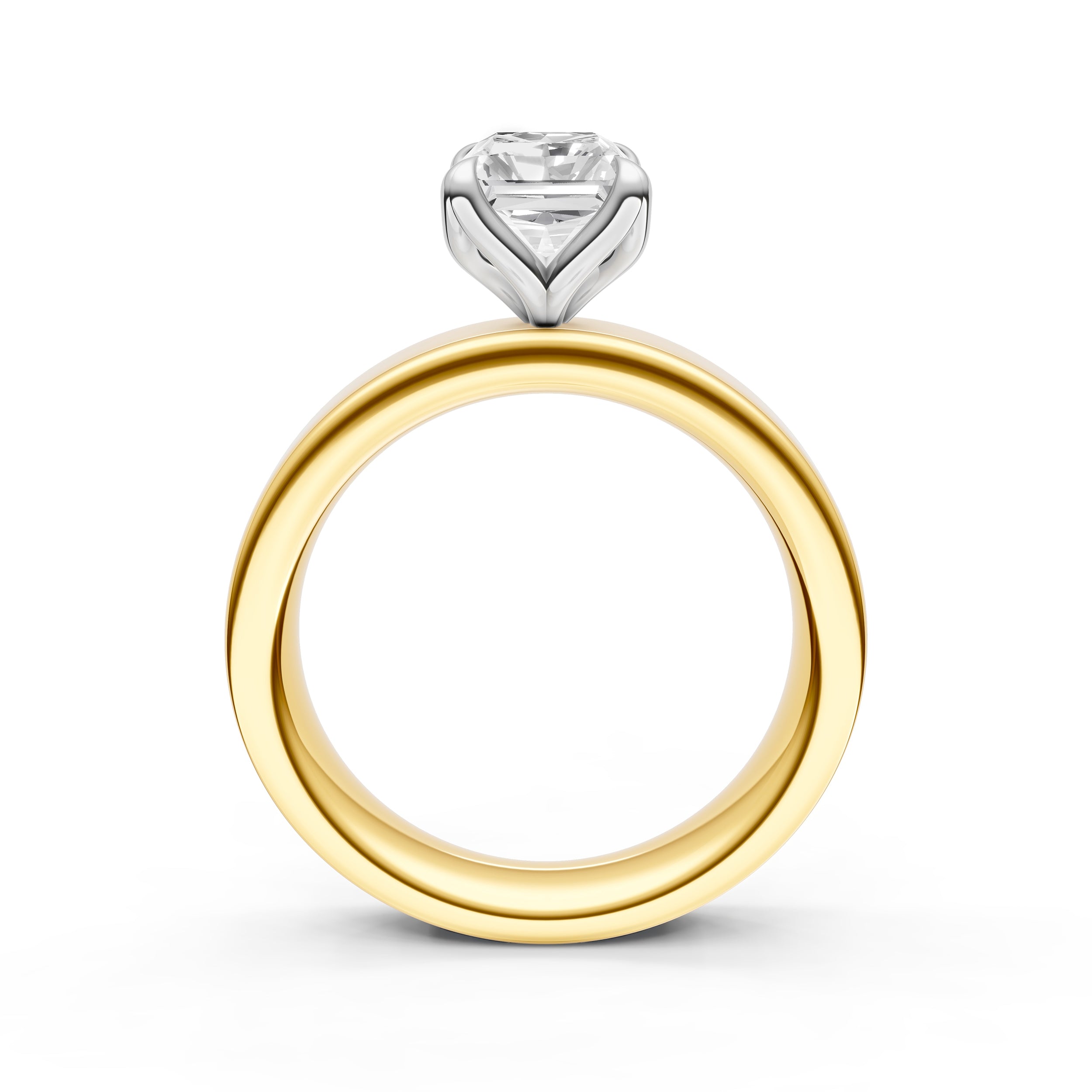 Petal Wide Engagement Ring (Radiant) Birmingham Jewelry Engagement Ring Birmingham Jewelry 