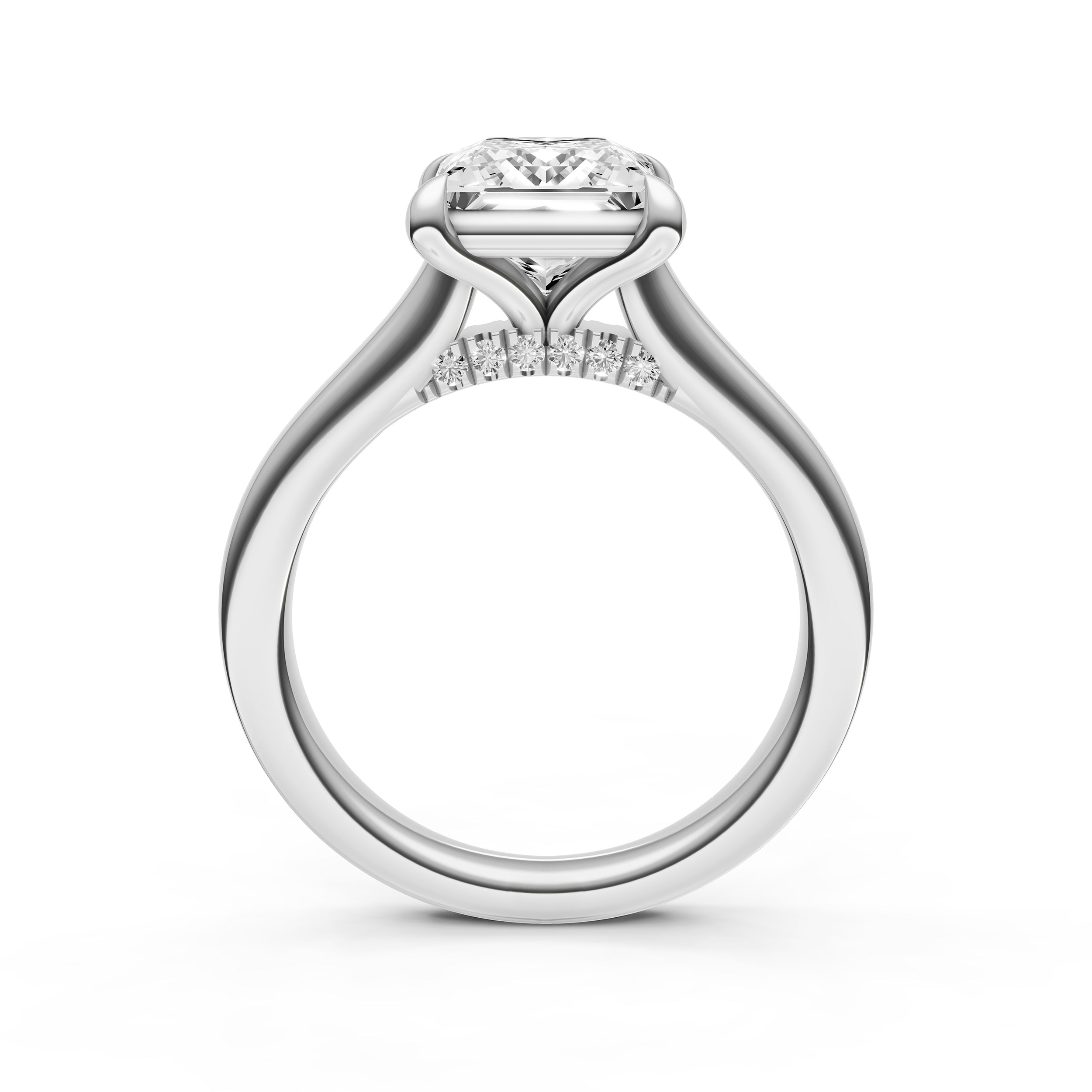 Diamond Accent Cathedral Basket Engagement Ring (Princess Cut) Birmingham Jewelry Engagement Ring Birmingham Jewelry 