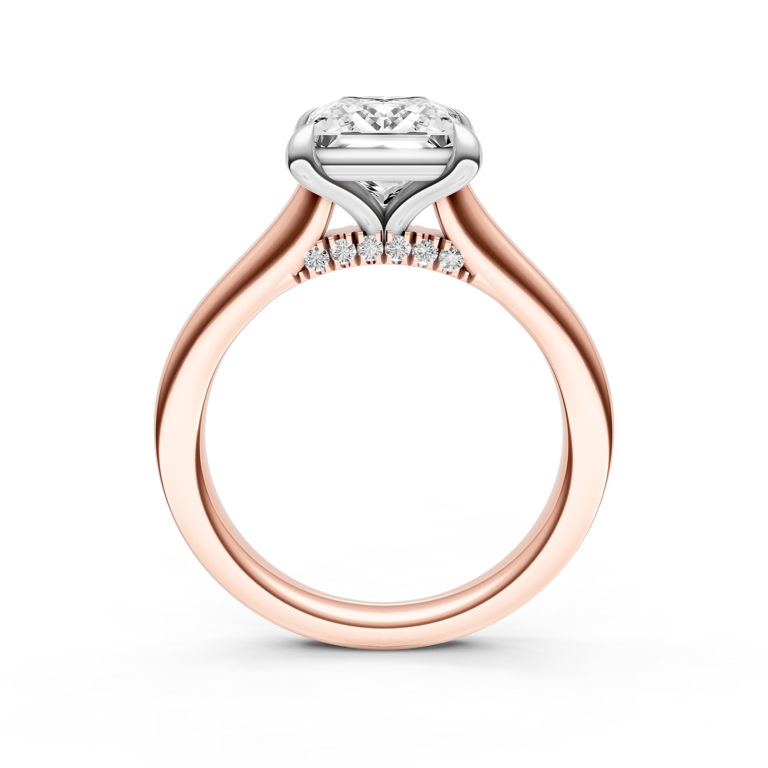 Diamond Accent Cathedral Basket Engagement Ring (Princess Cut) Birmingham Jewelry Engagement Ring Birmingham Jewelry 