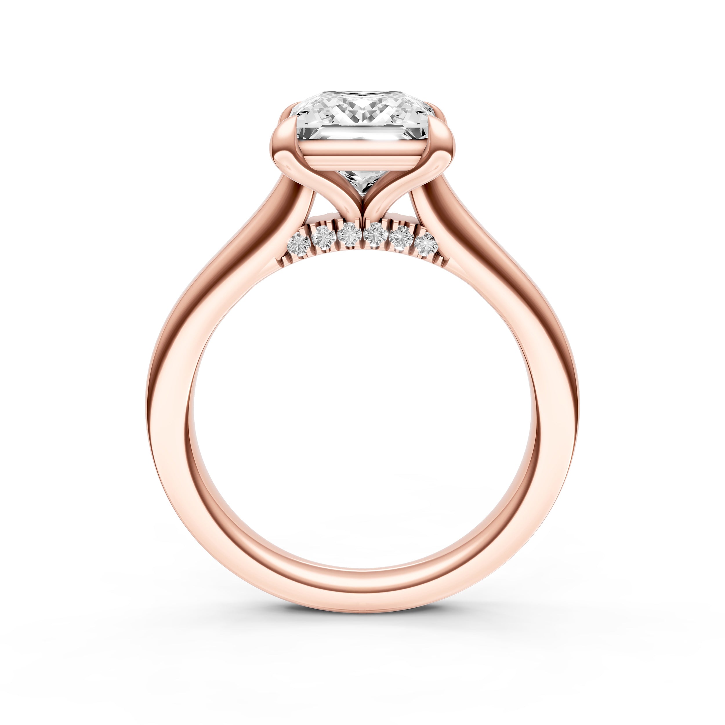 Diamond Accent Cathedral Basket Engagement Ring (Princess Cut) Birmingham Jewelry Engagement Ring Birmingham Jewelry 