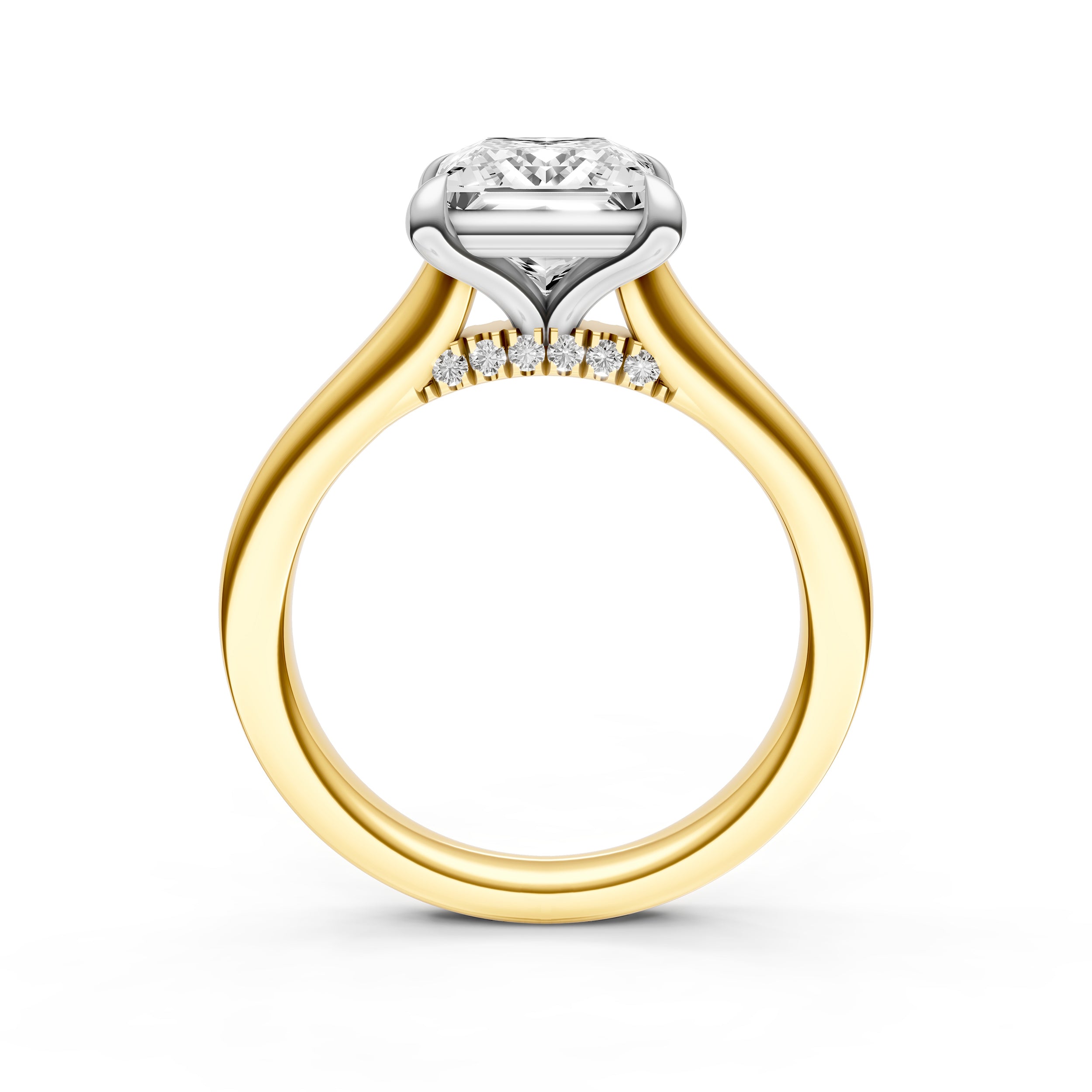 Diamond Accent Cathedral Basket Engagement Ring (Princess Cut) Birmingham Jewelry Engagement Ring Birmingham Jewelry 