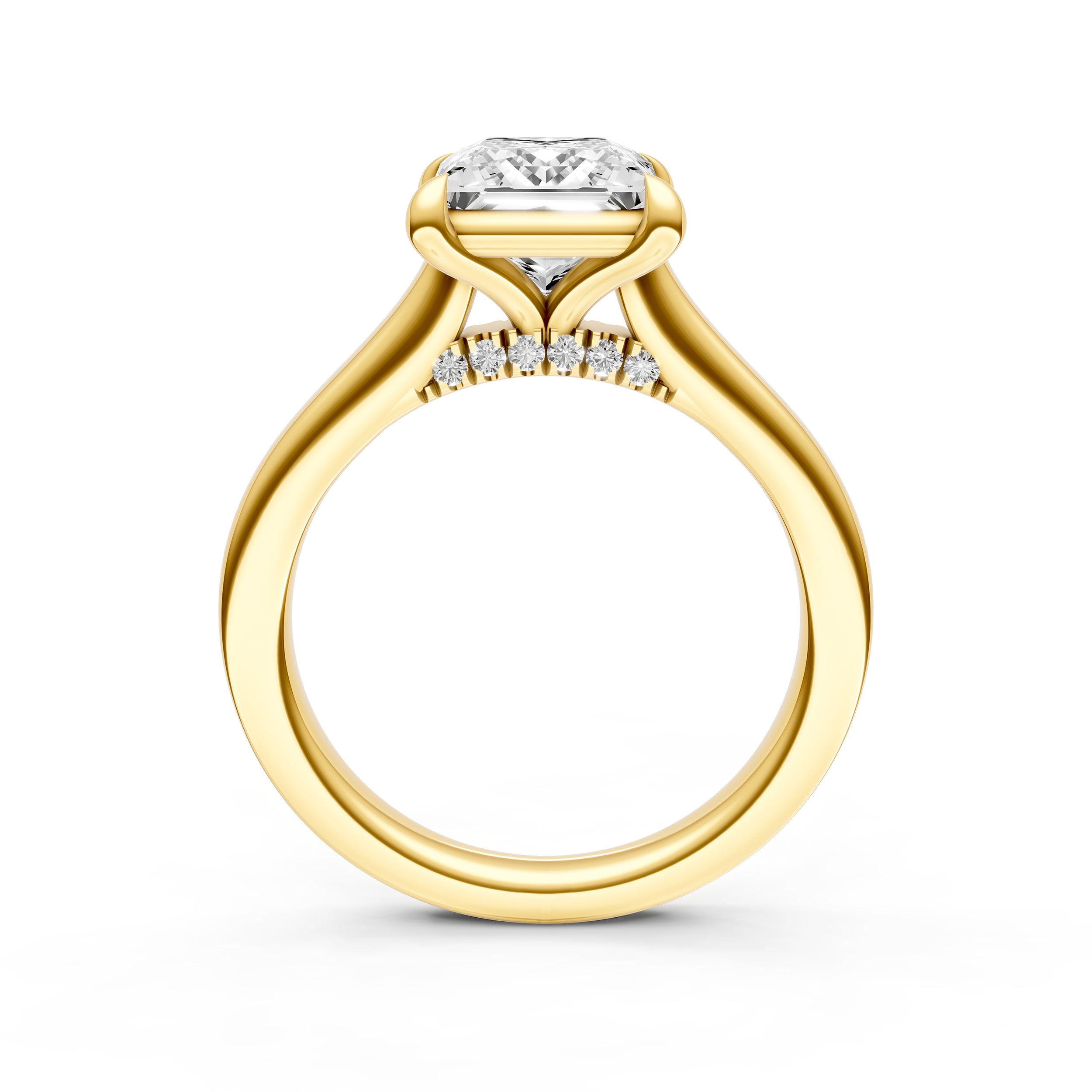 Diamond Accent Cathedral Basket Engagement Ring (Princess Cut) Birmingham Jewelry Engagement Ring Birmingham Jewelry 