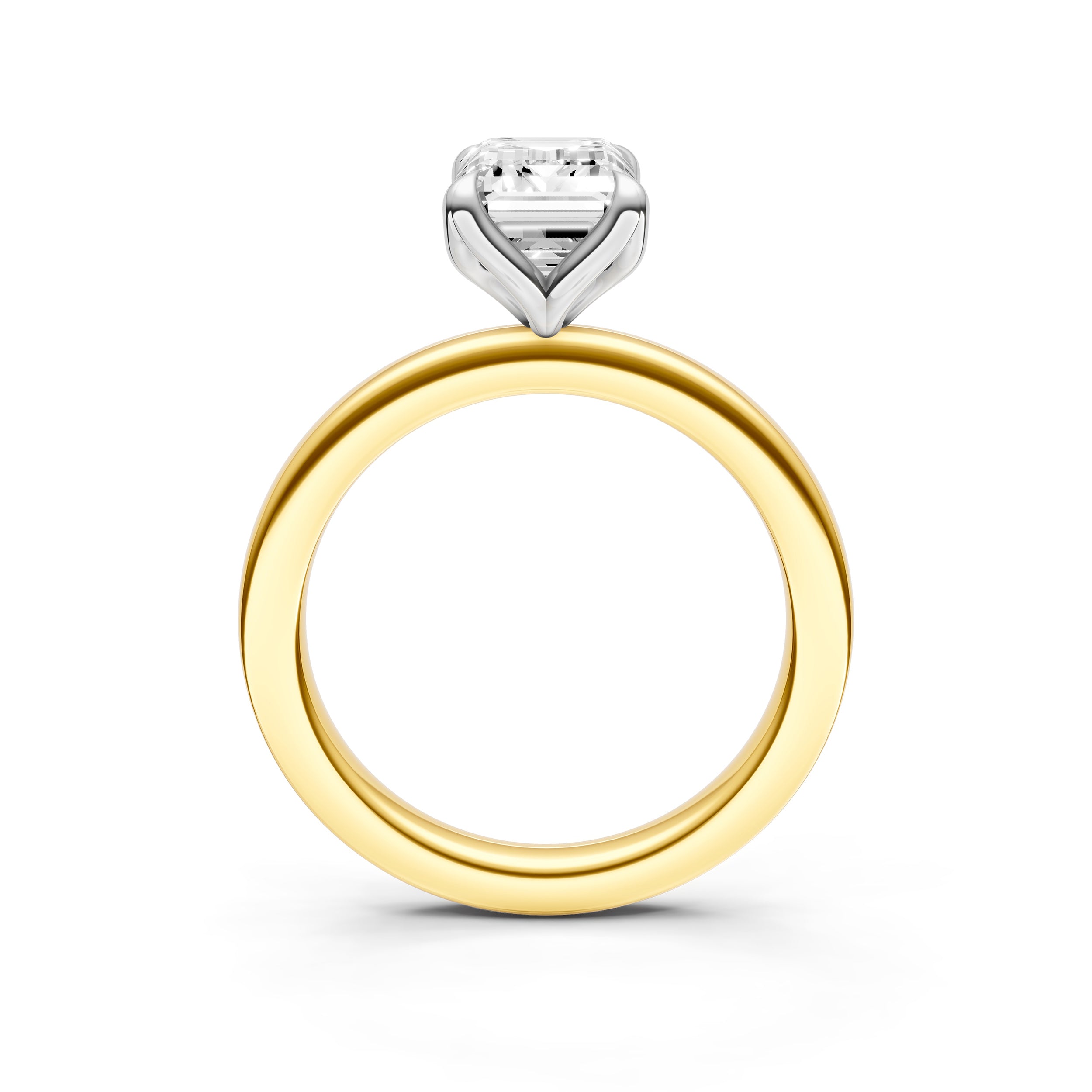 Petal Classic Engagement Ring (Emerald Cut) Birmingham Jewelry Engagement Ring Birmingham Jewelry 