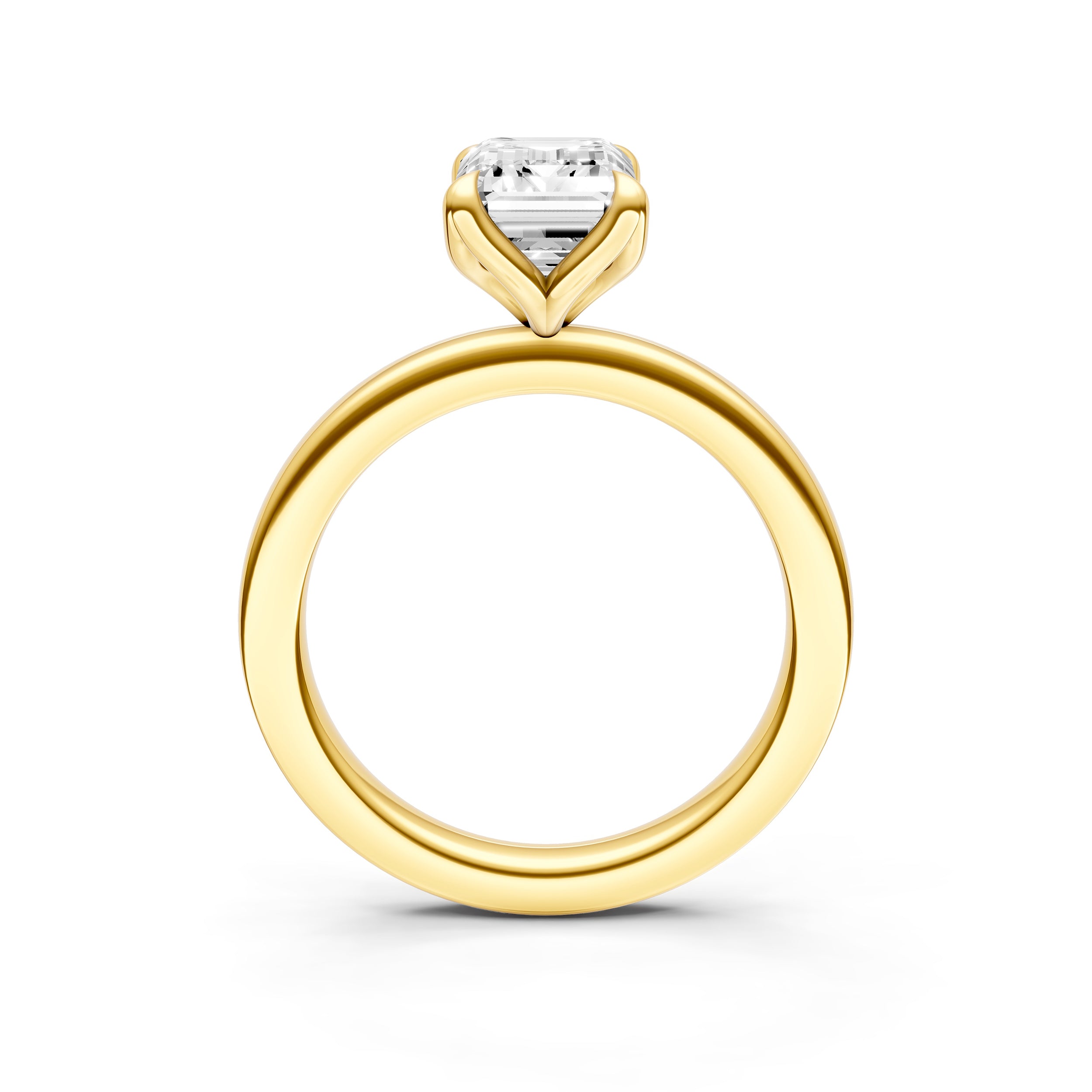 Petal Classic Engagement Ring (Emerald Cut) Birmingham Jewelry Engagement Ring Birmingham Jewelry 