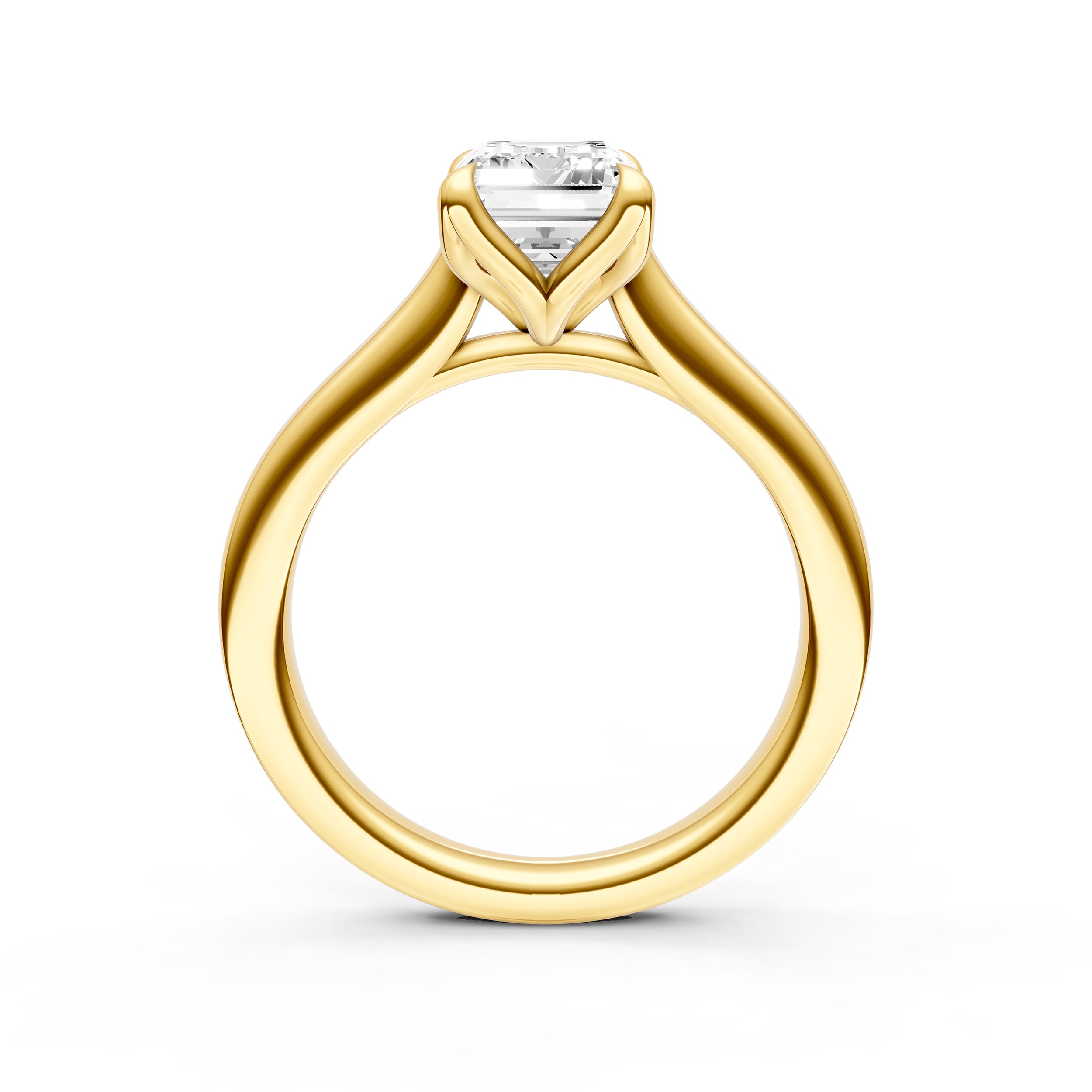 Petal Cathedral Engagement Ring (Emerald Cut) Birmingham Jewelry Engagement Ring Birmingham Jewelry 