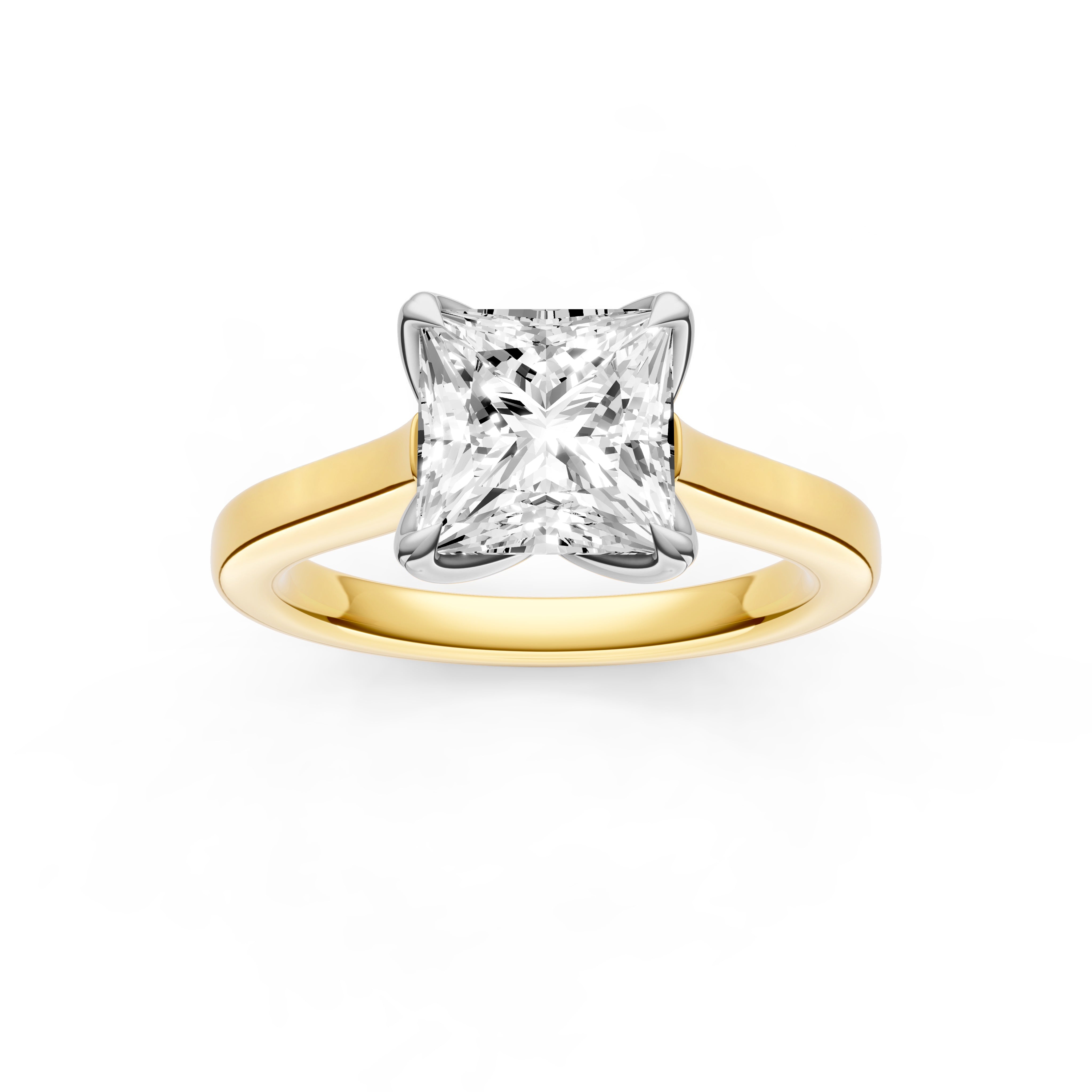 Petal Cathedral Engagement Ring (Princess Cut) Birmingham Jewelry Engagement Ring Birmingham Jewelry 